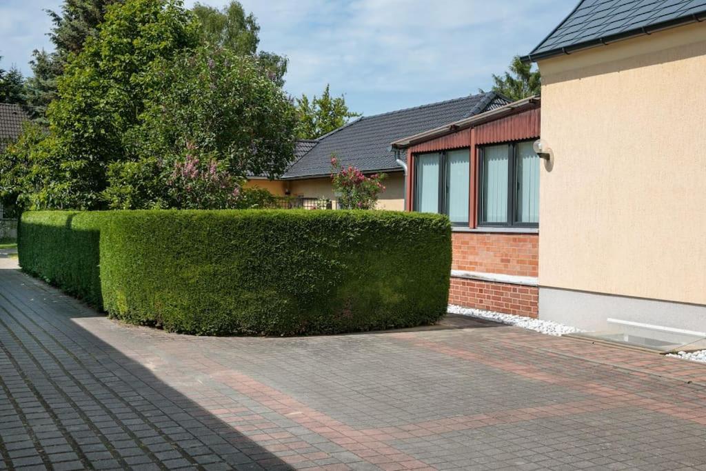 Charmantes Townhaus Mit Garten, W-Lan & Netflix Potsdam Buitenkant foto